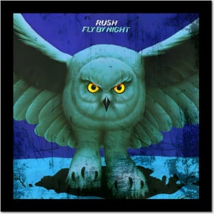 Fly by night Posters and Art